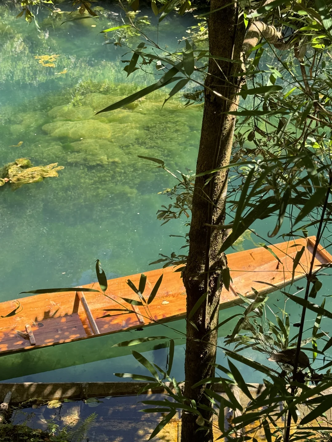 只此青绿｜小七孔你…