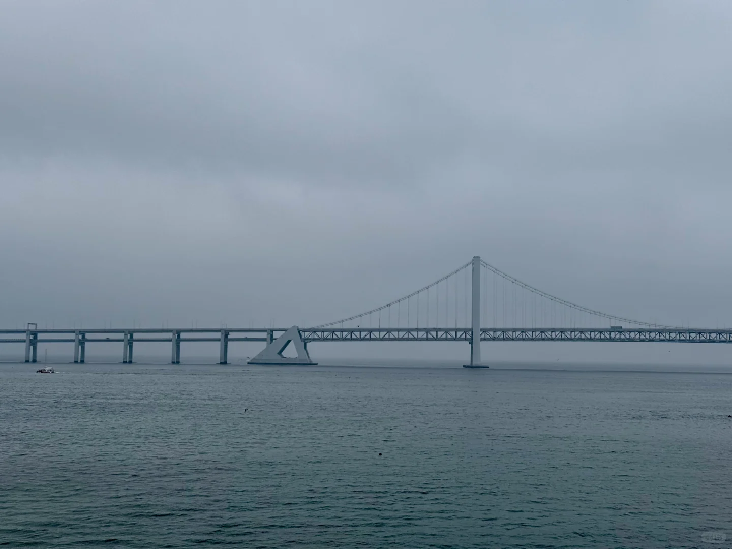 把小红书翻烂果然得到完全不踩雷的大连之行