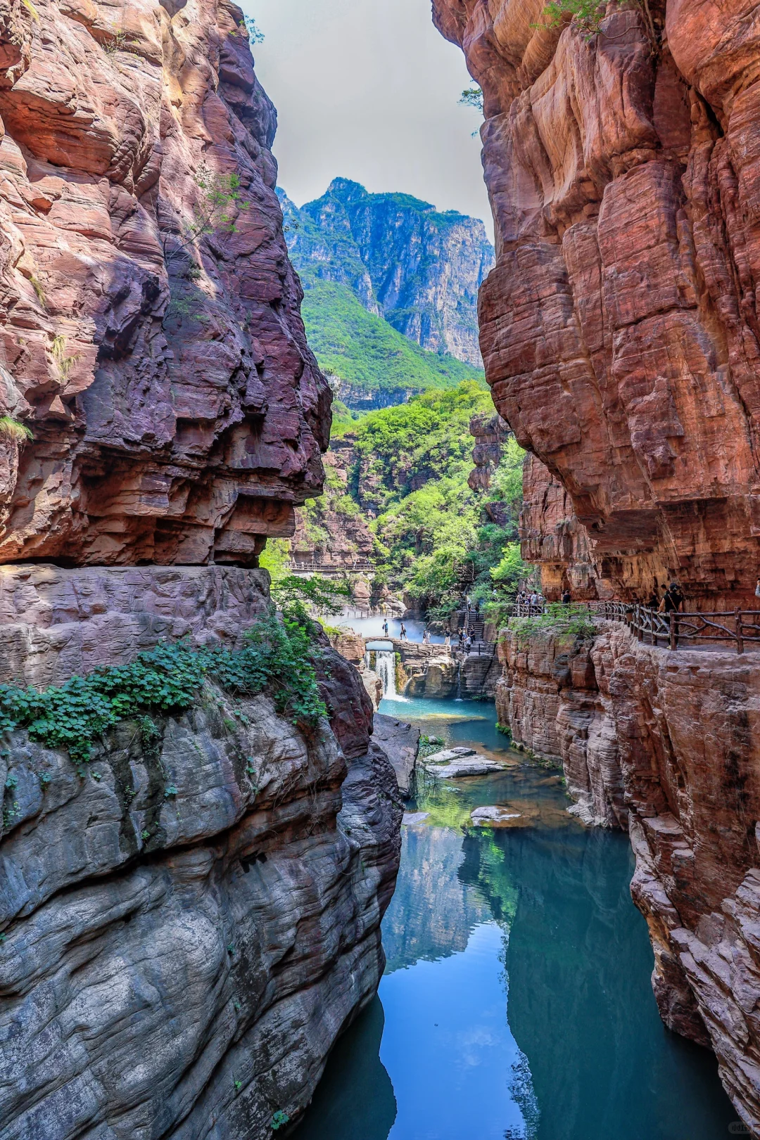 云台山已回😭坚决不删！能劝一个是一个……