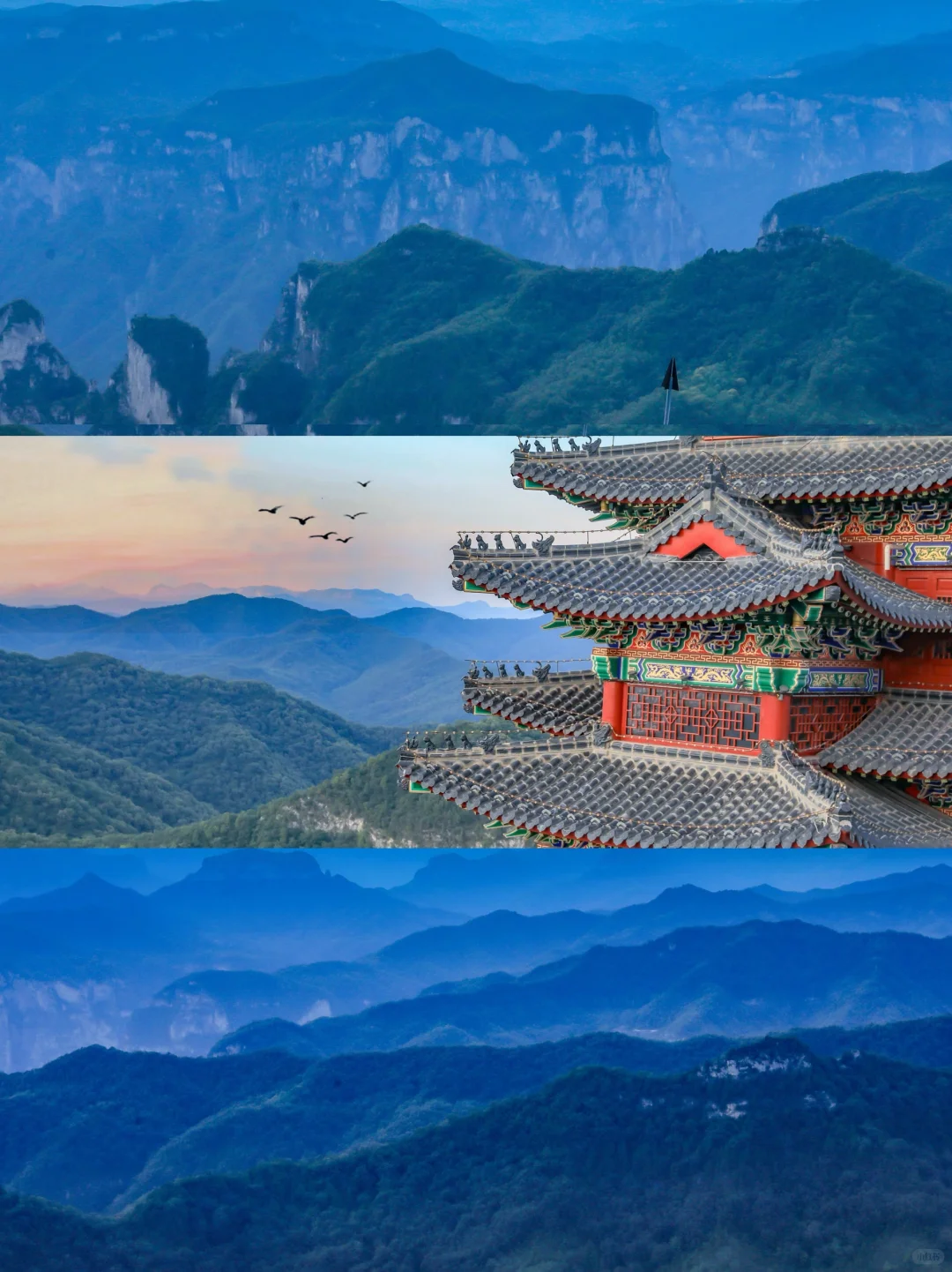 云台山已回😭坚决不删！能劝一个是一个……