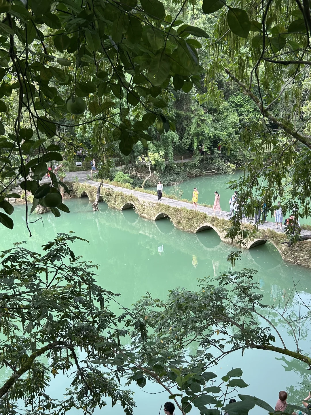 7.15 小七孔实况 💚