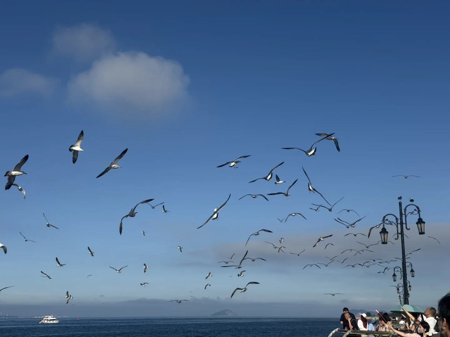 把小红书翻烂果然得到完全不踩雷的大连之行