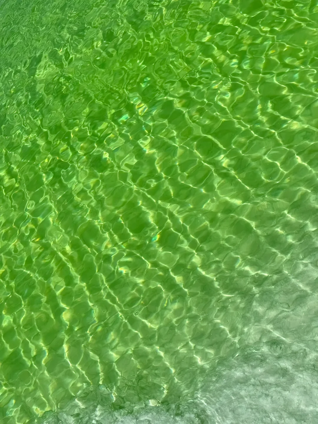 🚗青海甘肃8天自驾大环线| 门源百里油菜花