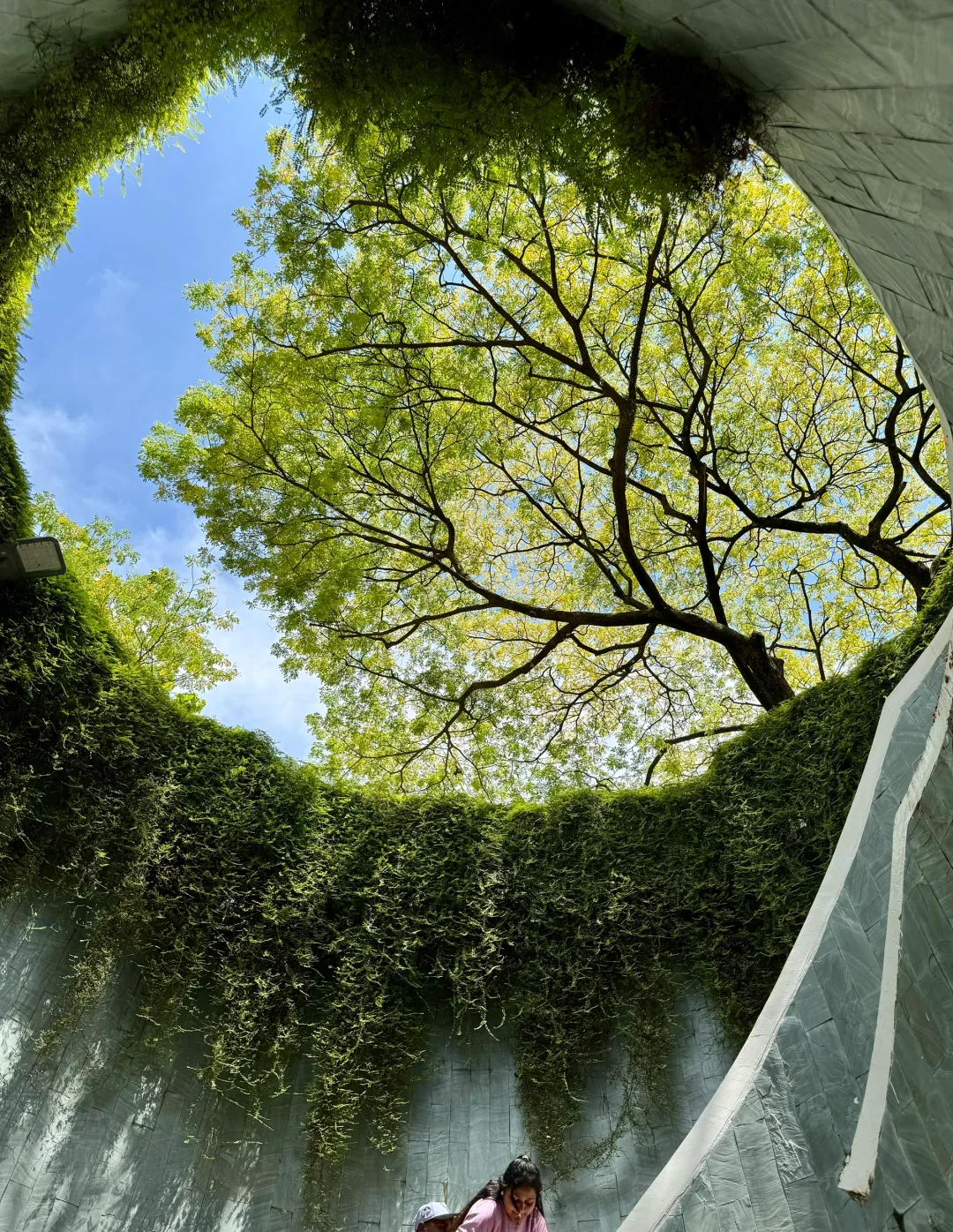 🇸🇬新加坡4天3夜旅行｜J人保姆级攻略（上）