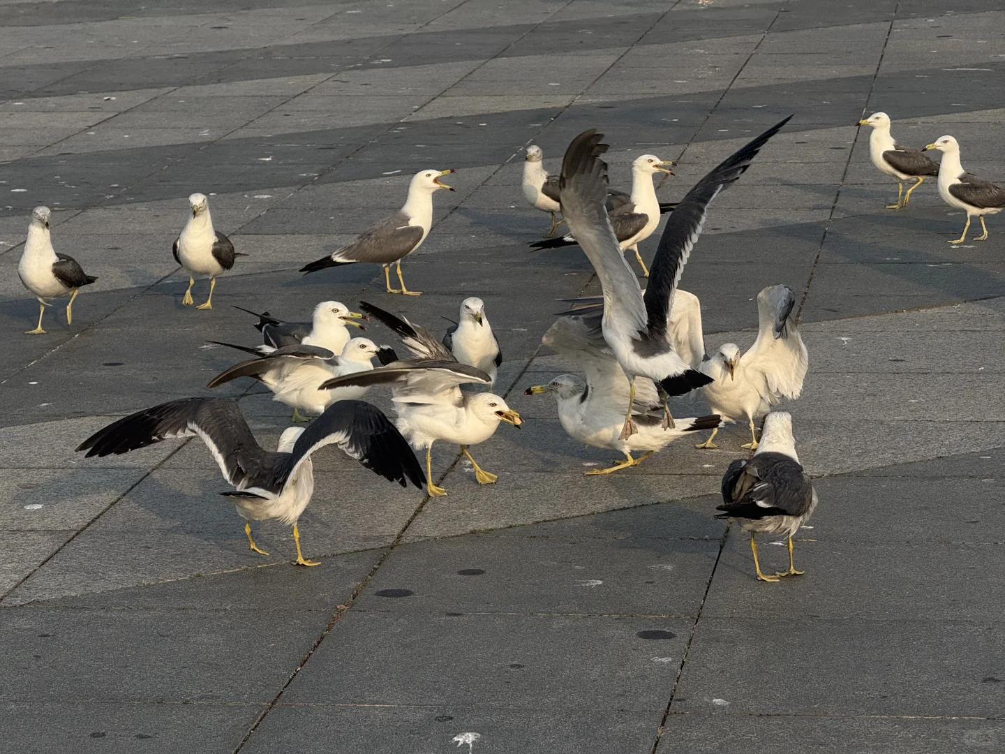 把小红书翻烂果然得到完全不踩雷的大连之行