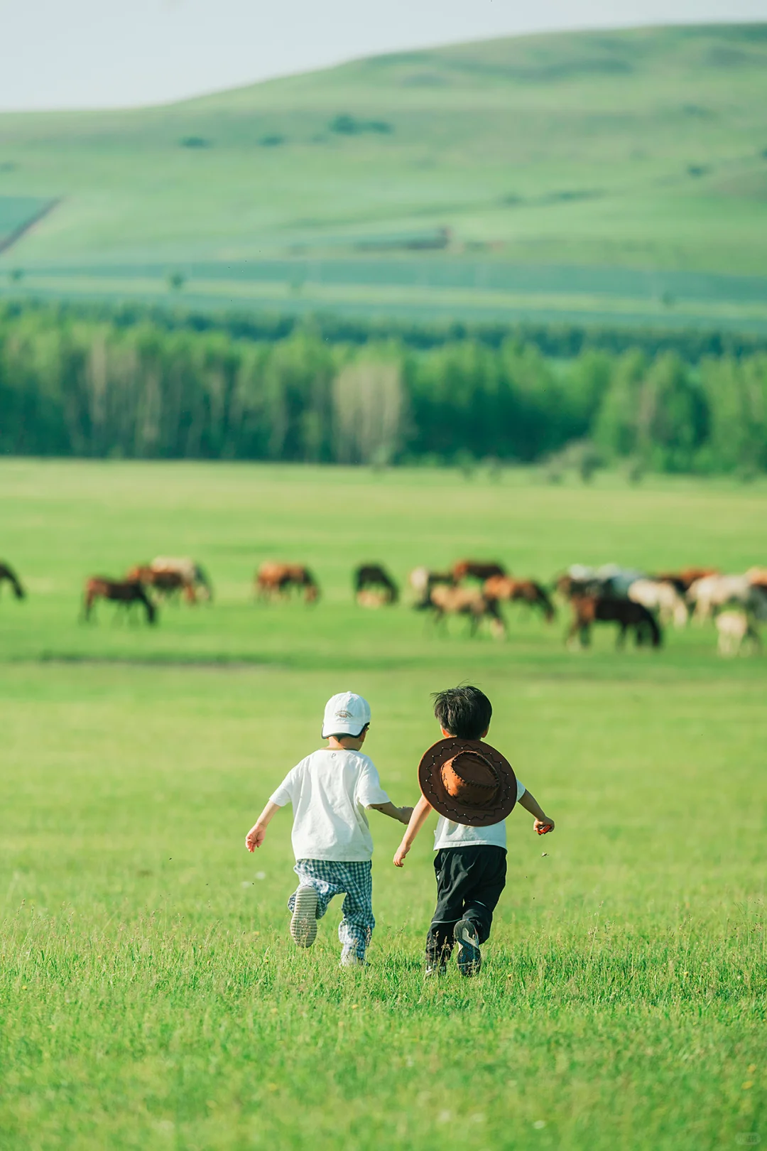 带娃呼伦贝尔暑假游，这些避坑指南得知道‼️