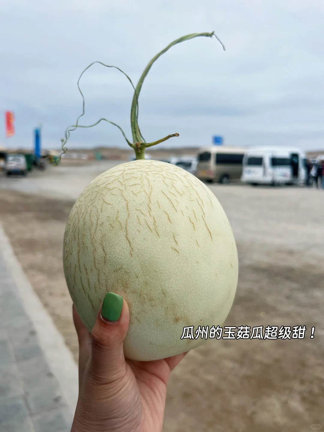 青甘大环线旅游攻略(美食篇)