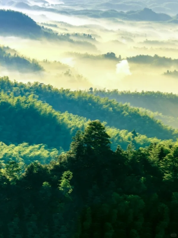 写给51来宜宾的朋友🏃‍♀️总结建议 快来听劝