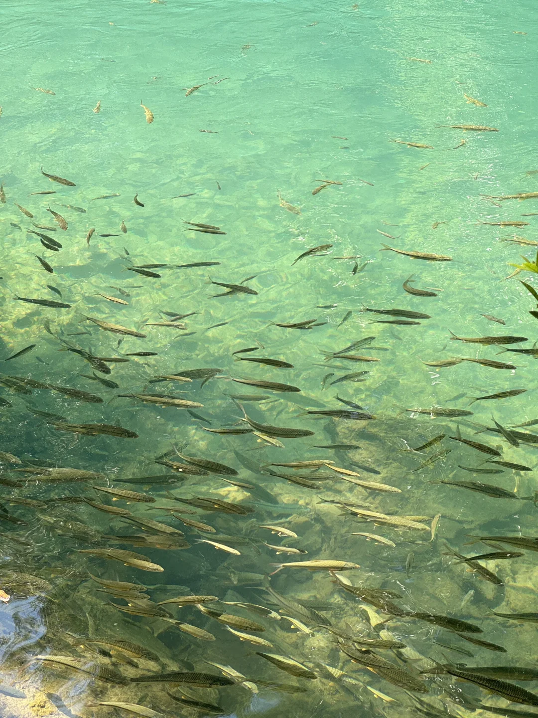 只此青绿｜小七孔你…