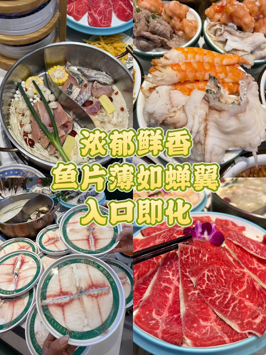 刚从洛阳回来！踩雷踩的已崩溃...🤬