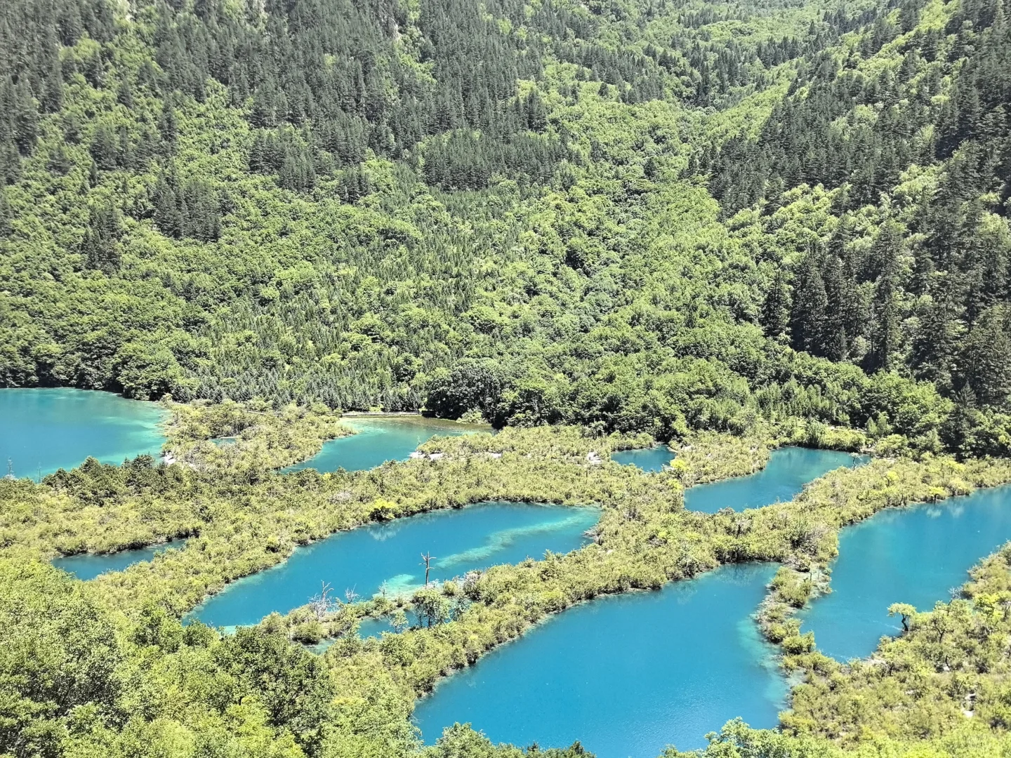 ⭐九寨沟黄龙两日游攻略