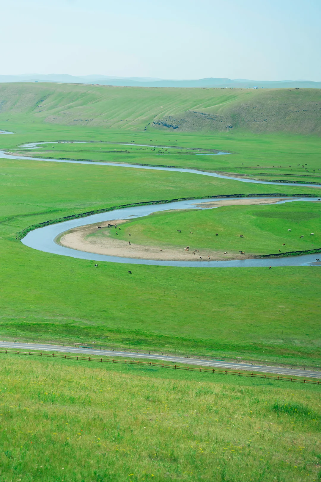带娃呼伦贝尔暑假游，这些避坑指南得知道‼️