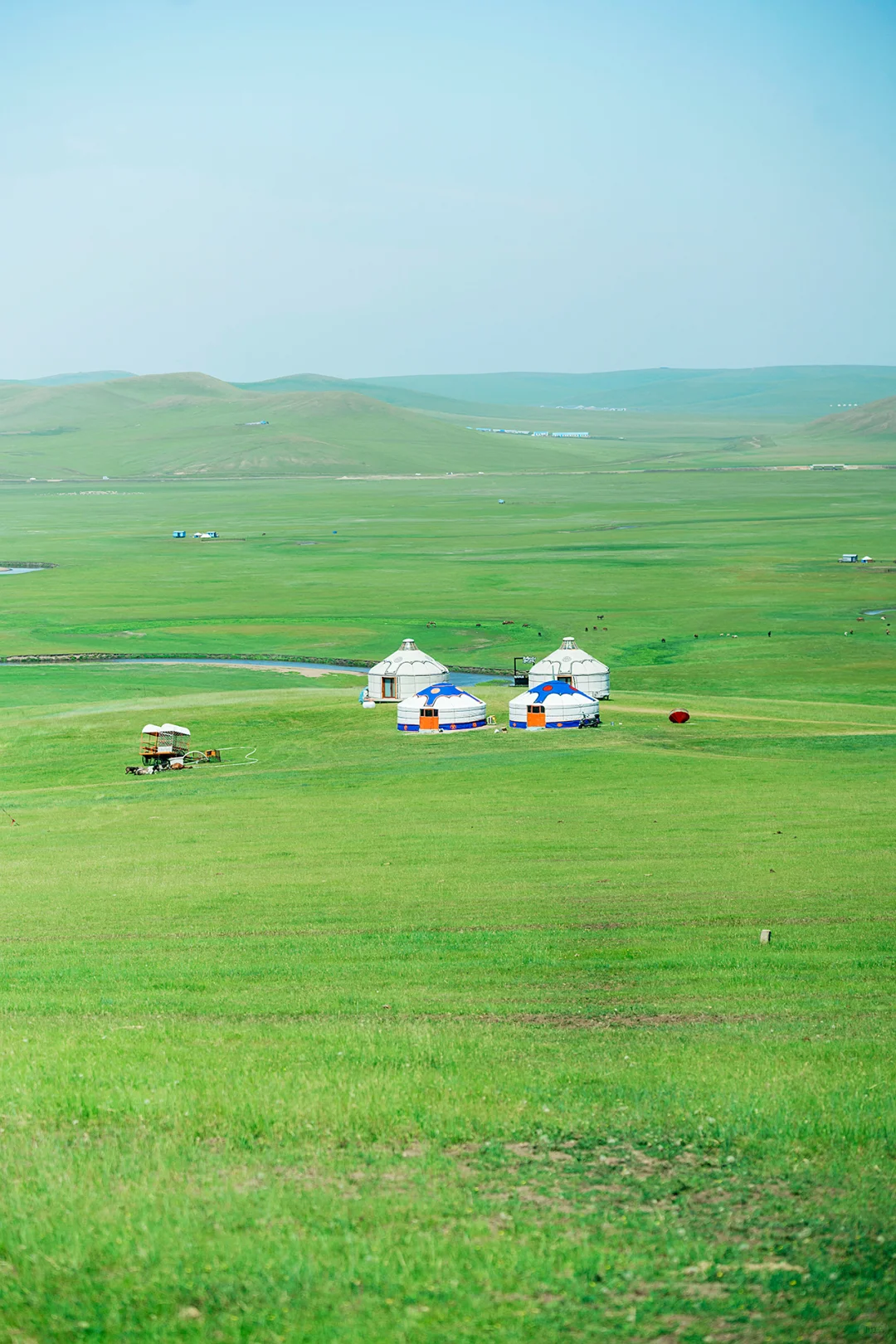 带娃呼伦贝尔暑假游，这些避坑指南得知道‼️