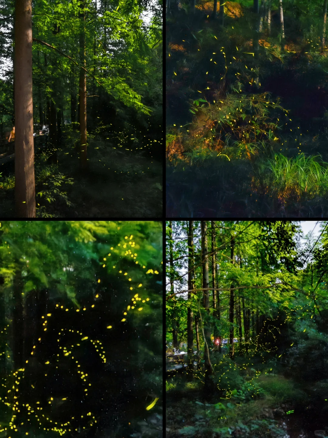 刚从德清避暑回来😭玩两天，凉快了近10度！