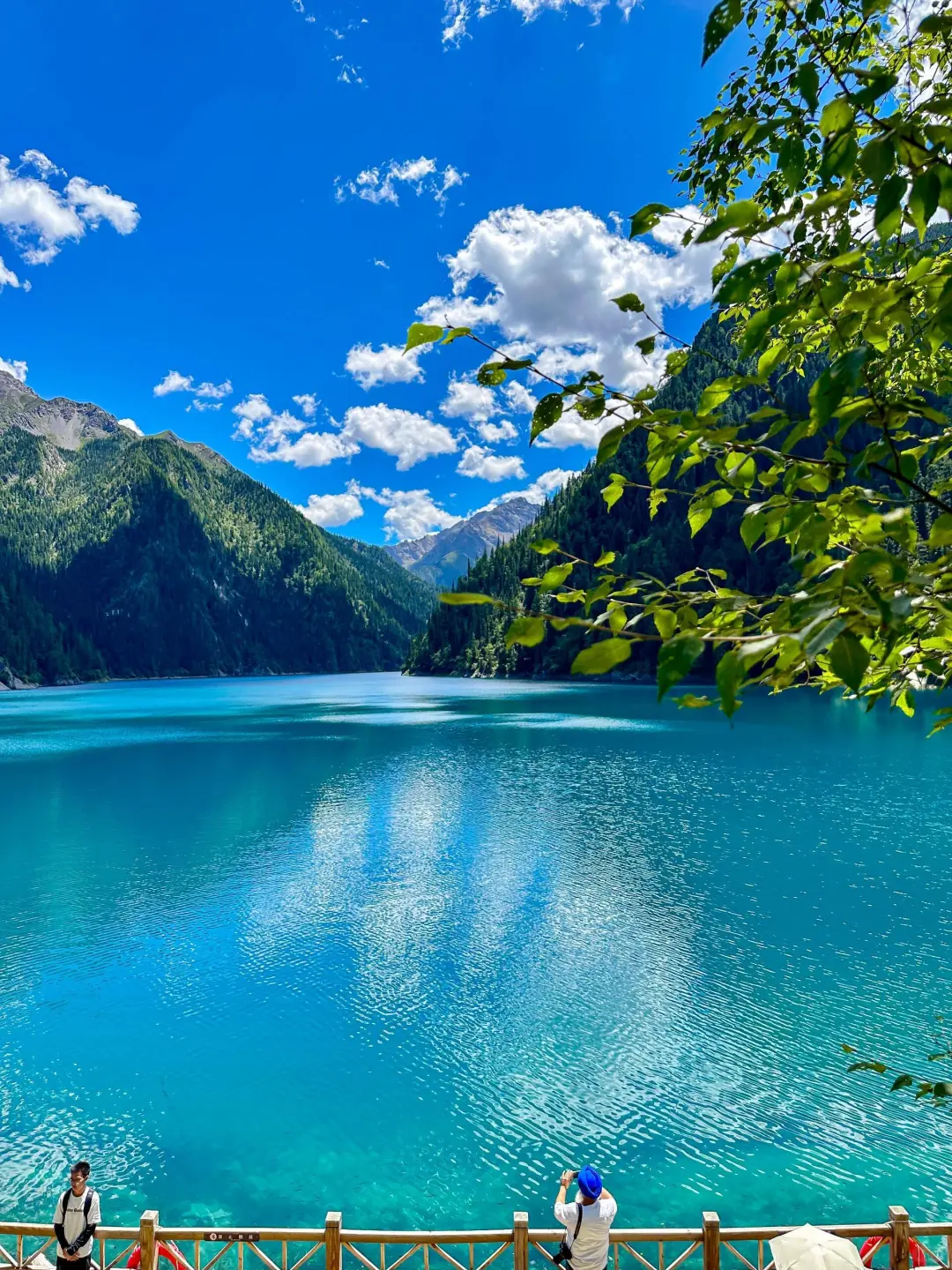 和老公去了夏天的川西,真的比瑞士还震撼!