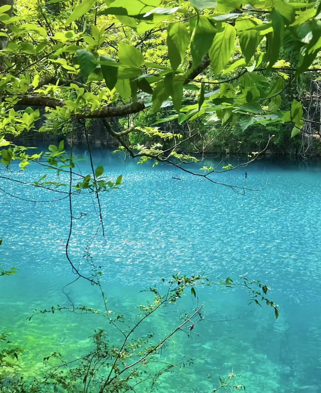 2025.7.7小七孔仙境