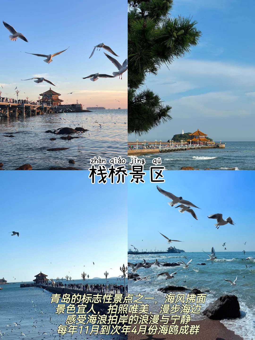 青岛📍两天一夜，懒人版保姆级逛吃攻略‼️