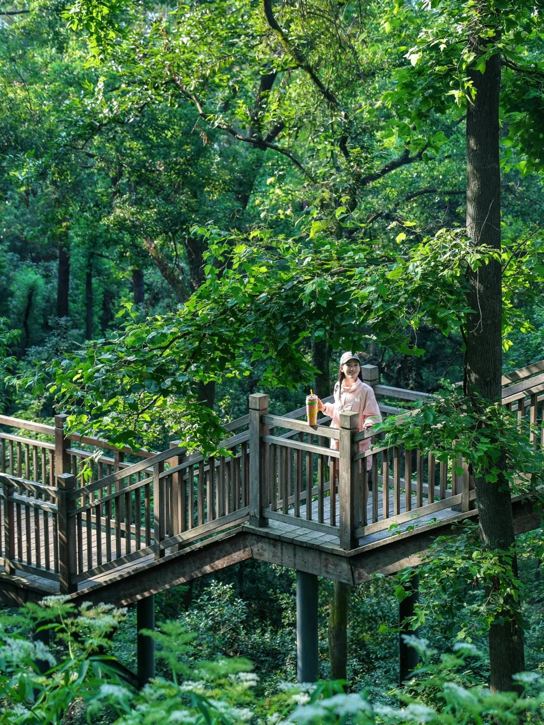 武汉东湖被严重低估的游玩路线！巨美人少！