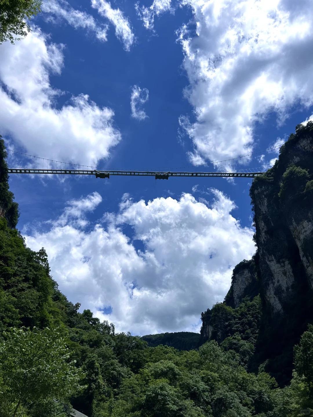 张家界大峡谷 | 美晕了