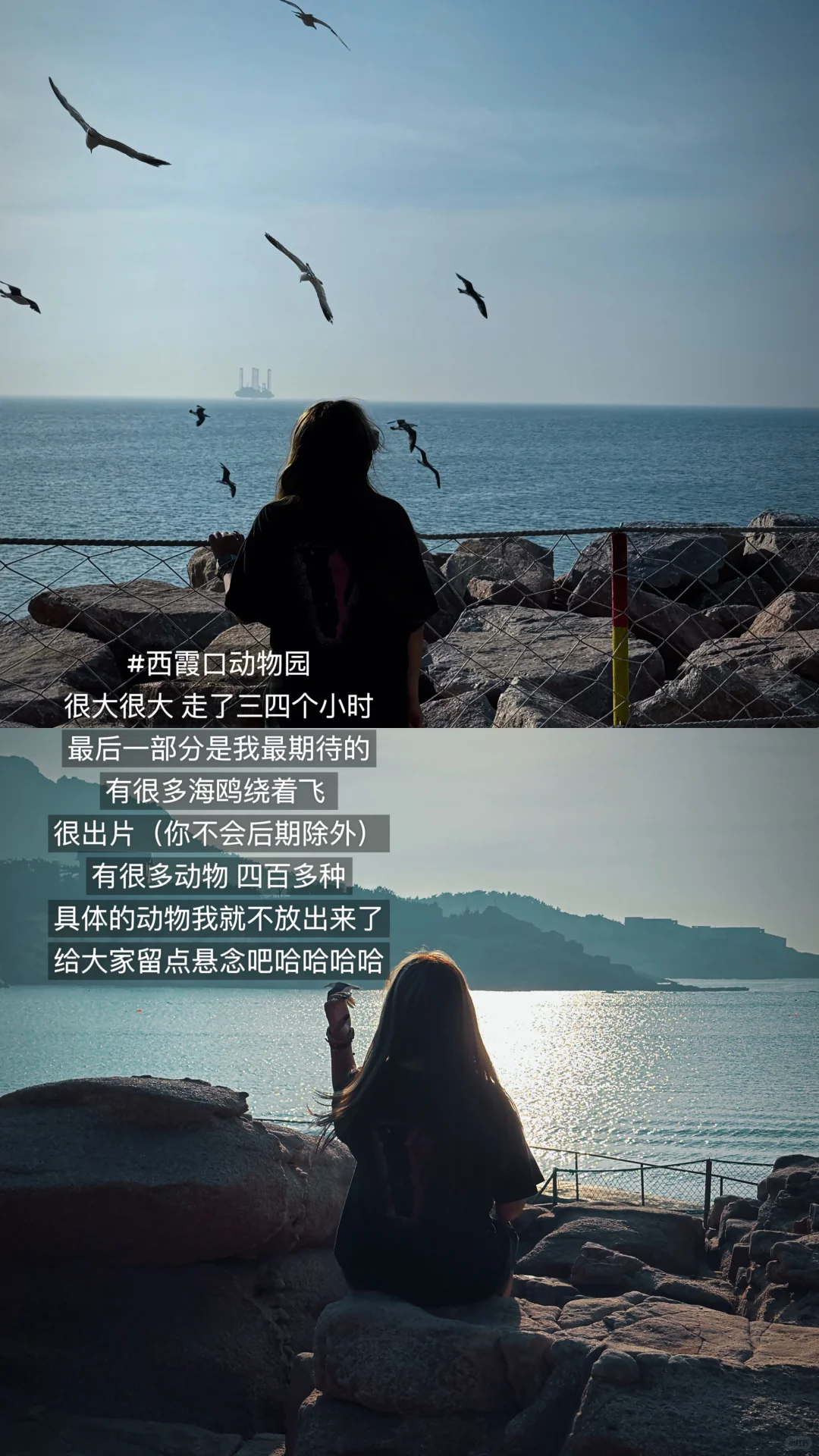 呕心沥血的威海攻略 都是实话 快来看