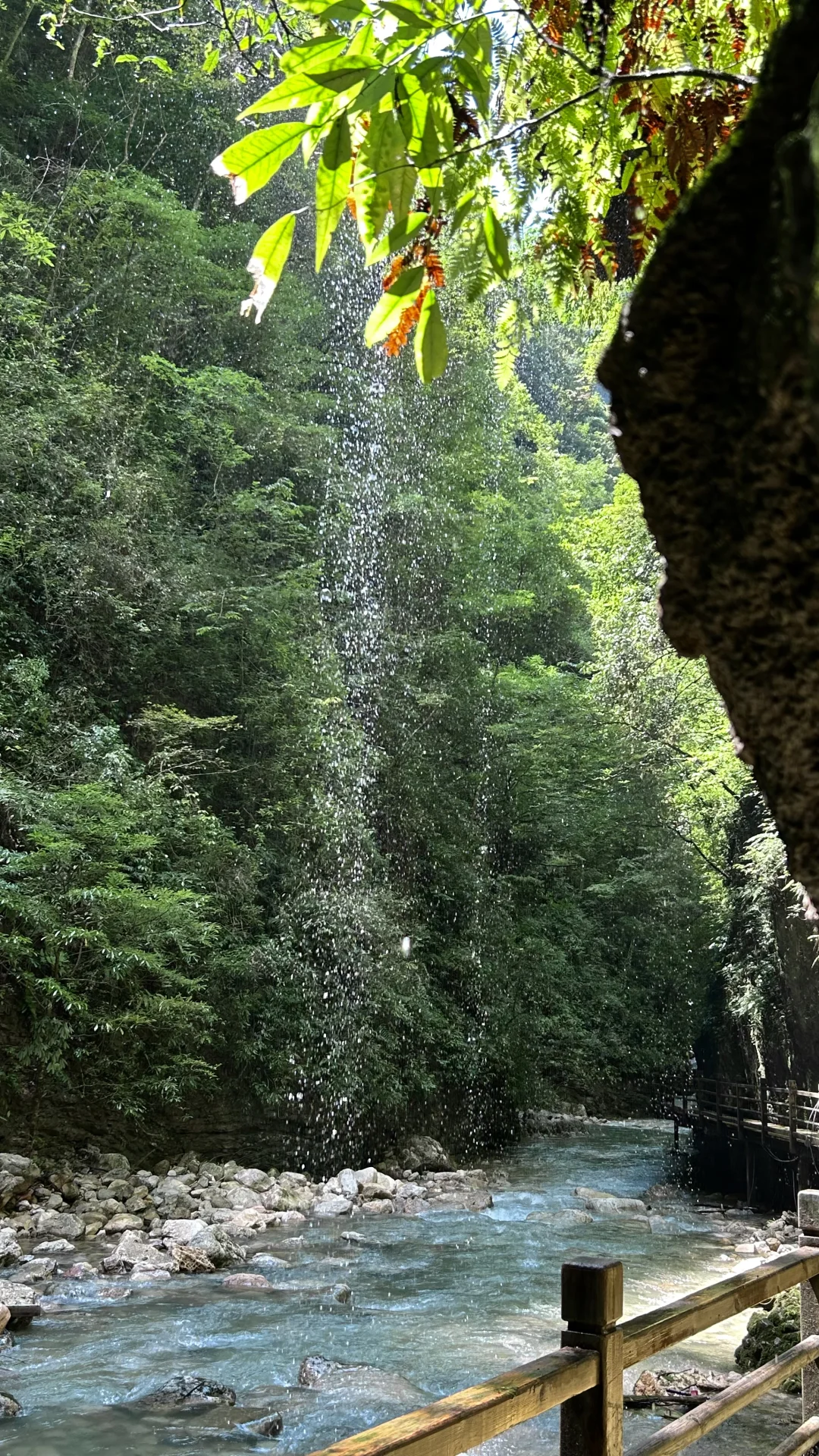 张家界大峡谷 | 美晕了