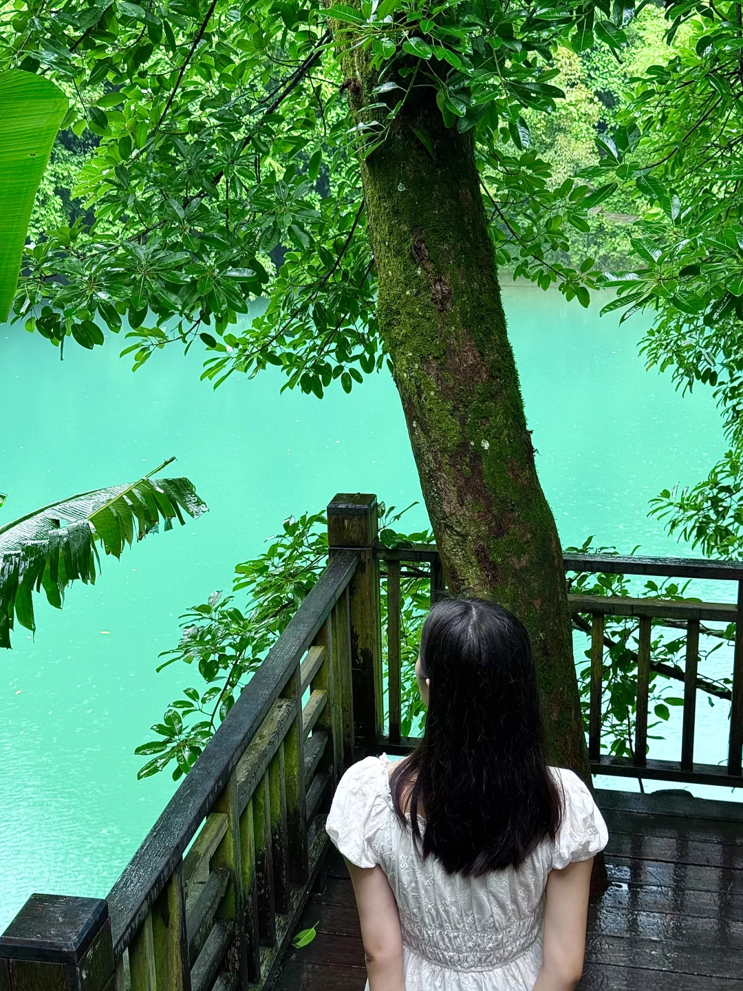 📍荔波·小七孔｜黔南山水