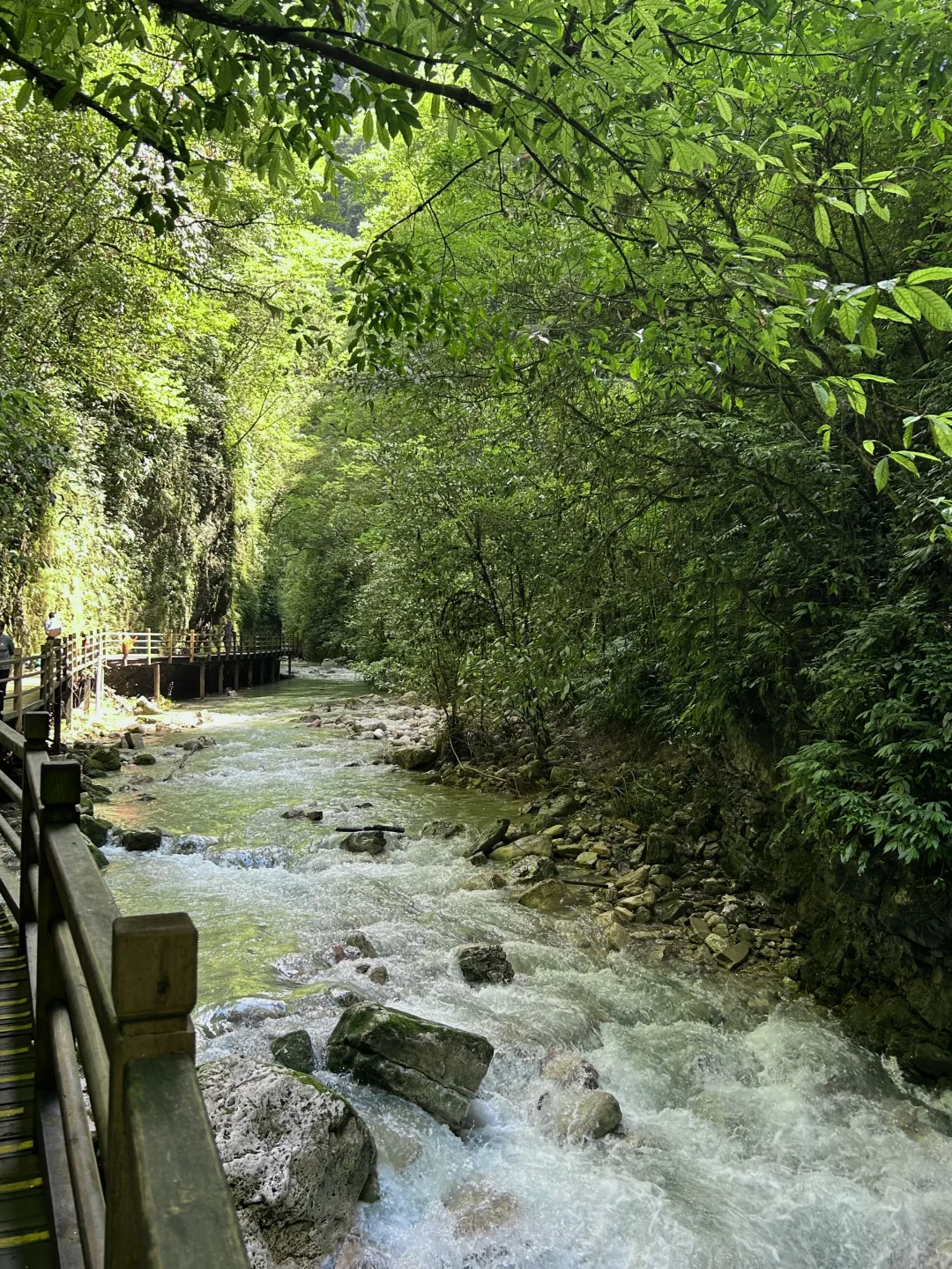 张家界大峡谷 | 美晕了