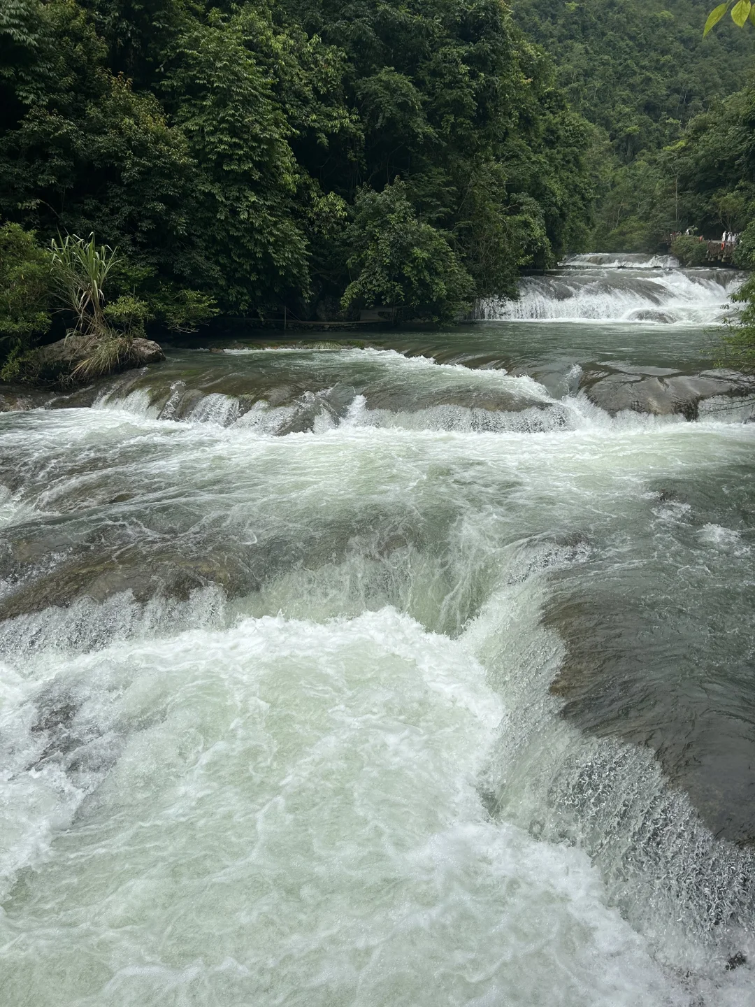 7.15 小七孔实况 💚