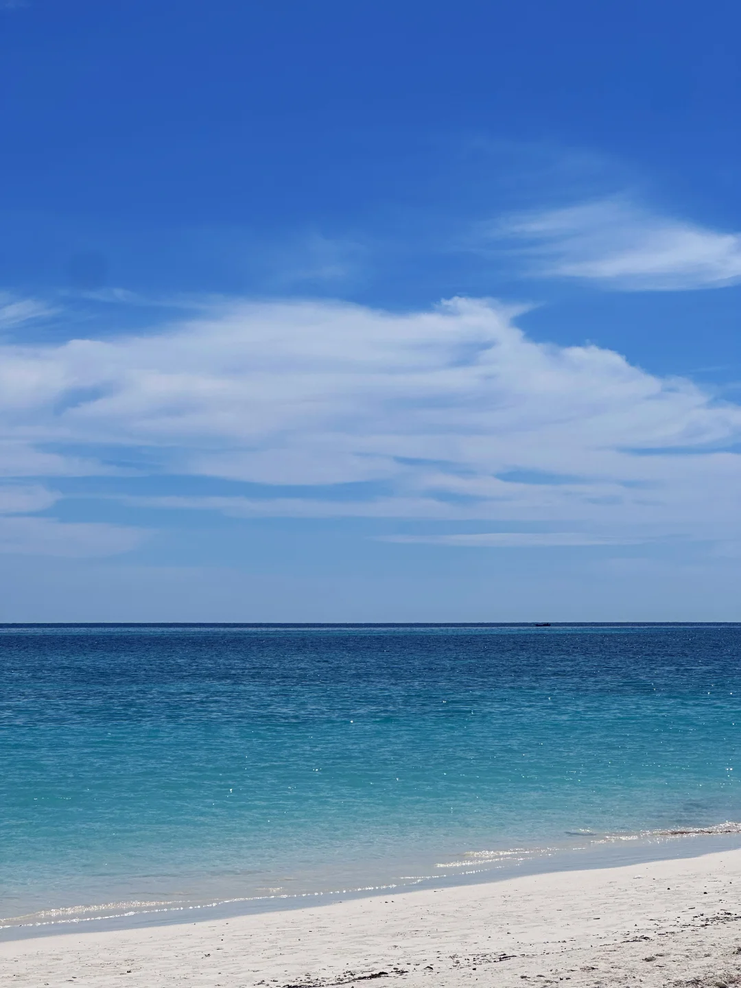 亚庇四天三夜 📕最良心攻略看这篇！！！！