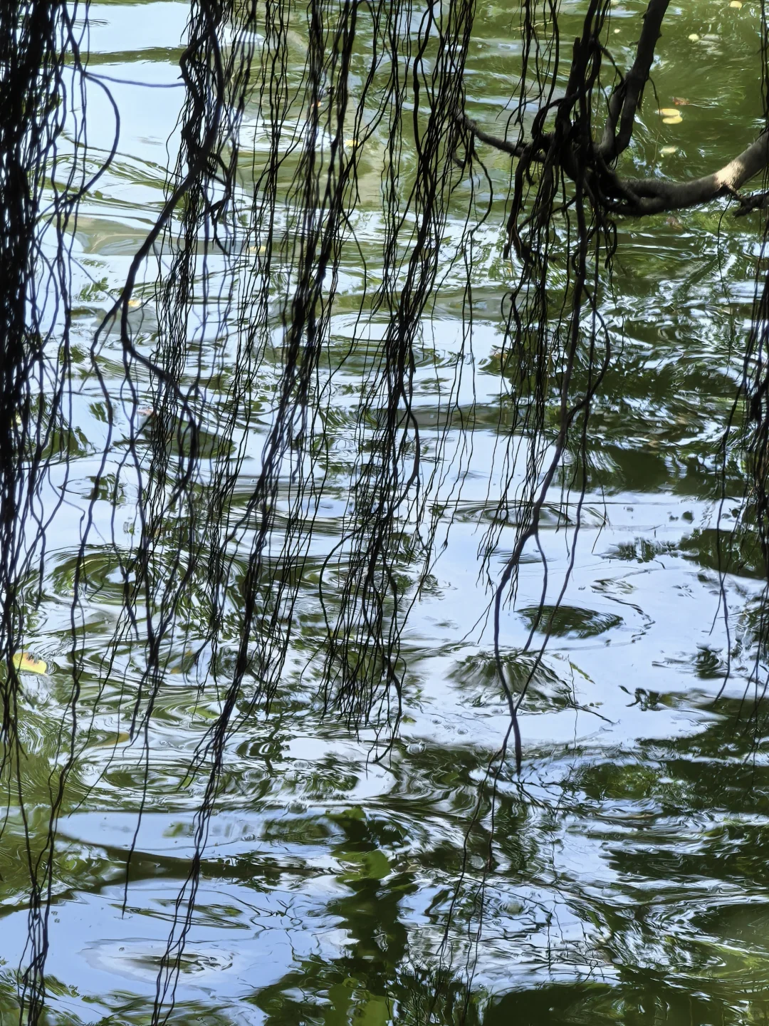 旅游攻略～福州