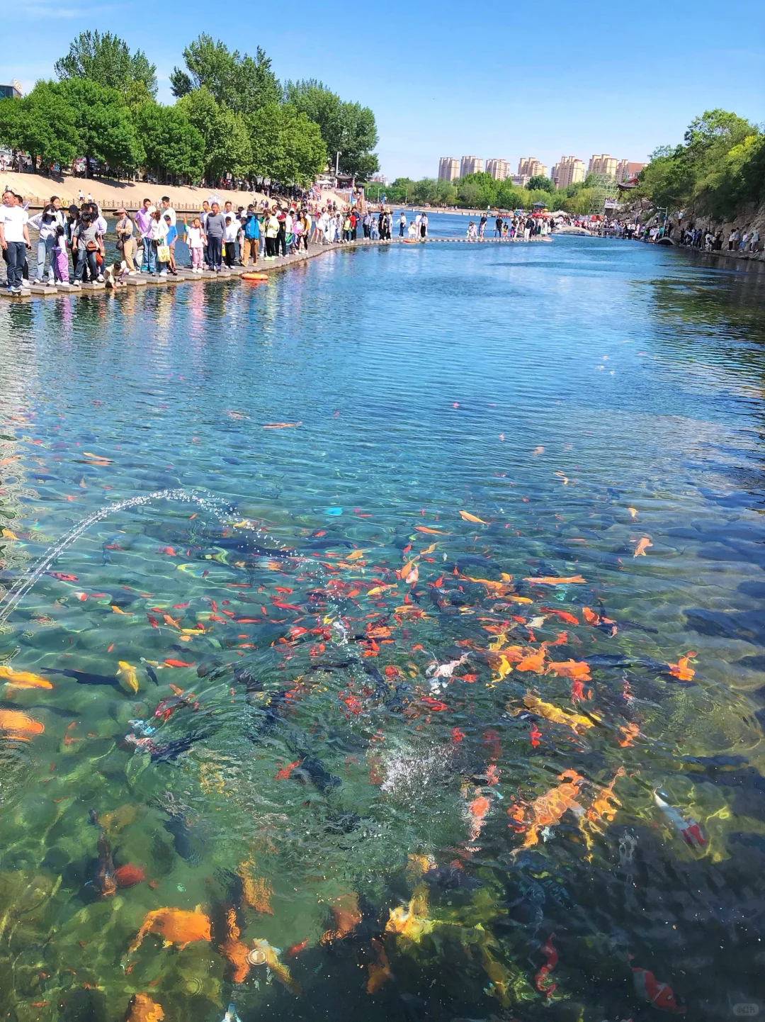 河北被严重低估的冷门宝藏小城-峰峰一日游