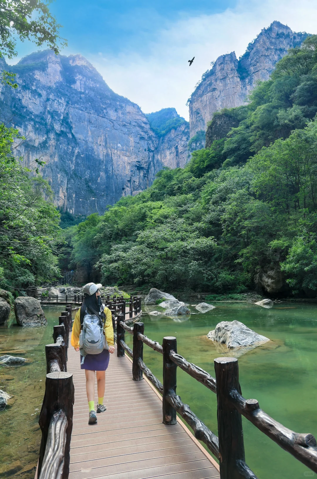 云台山已回😭坚决不删！能劝一个是一个……