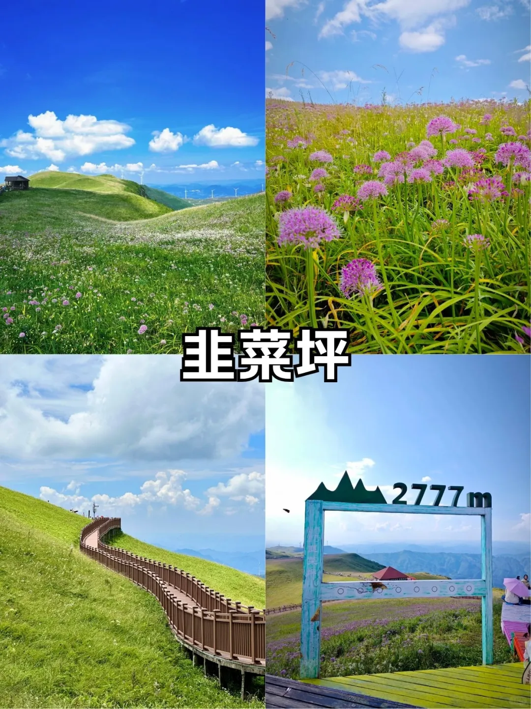 🌿凉都六盘水：中国凉都的天然空调房