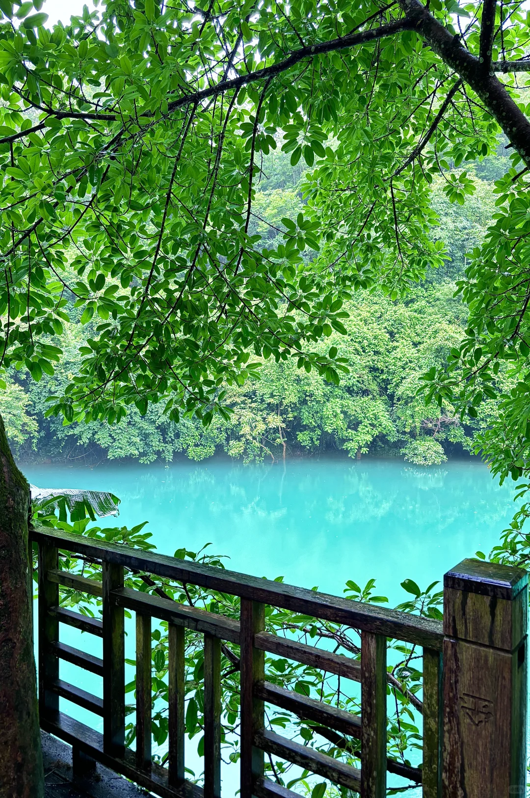 📍荔波·小七孔｜黔南山水