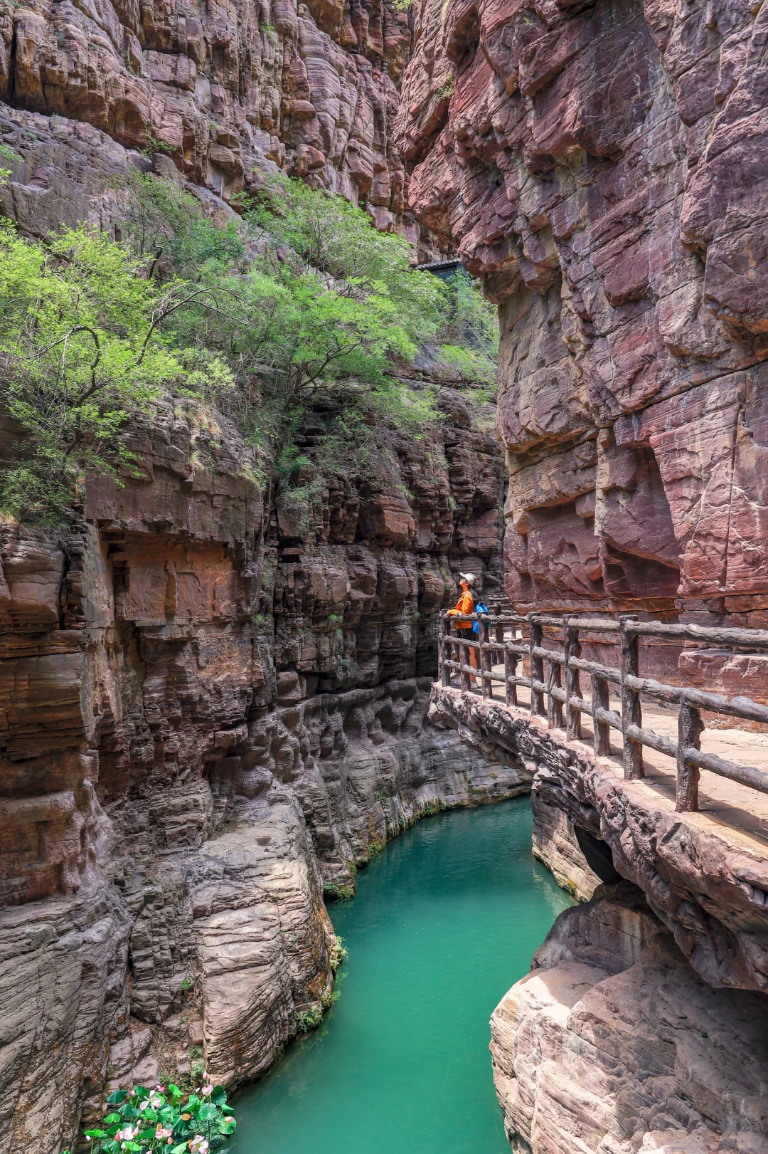 云台山已回😭坚决不删！能劝一个是一个……