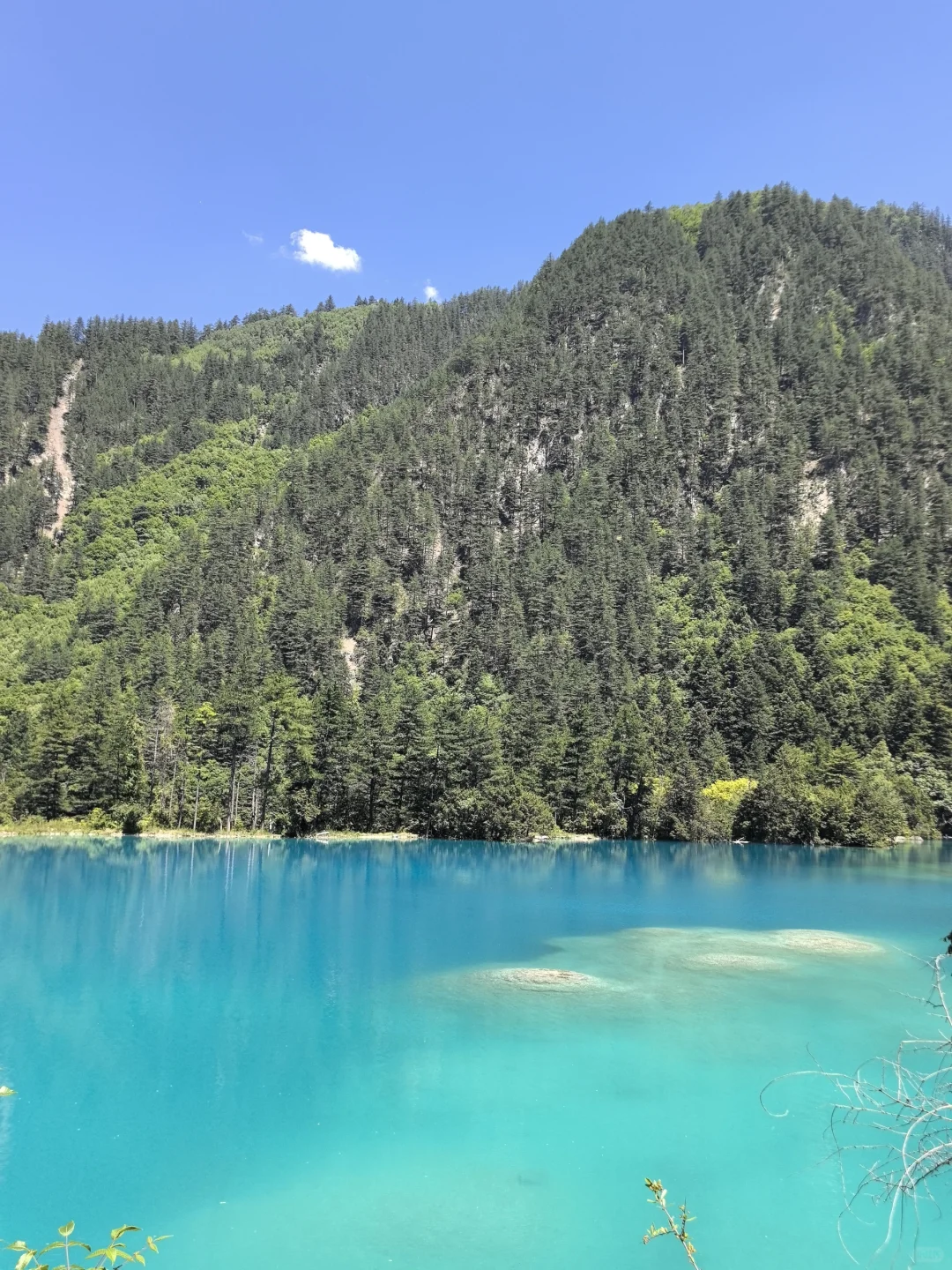 ⭐九寨沟黄龙两日游攻略