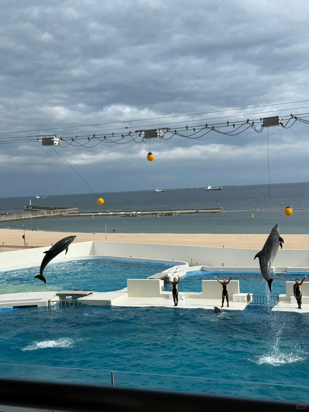日本旅游✈️大阪京都奈良神户旅行超全攻略