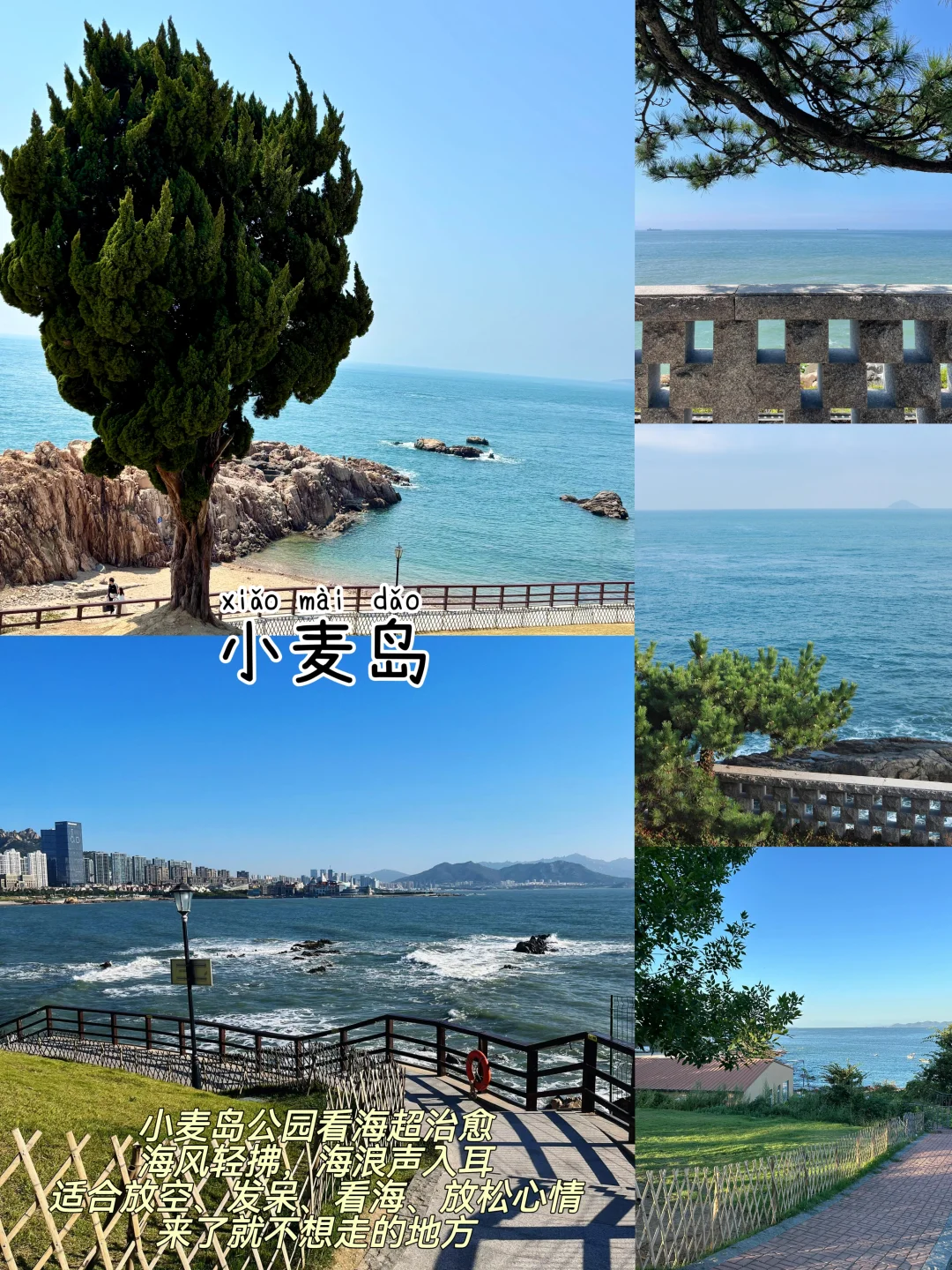 青岛📍两天一夜，懒人版保姆级逛吃攻略‼️