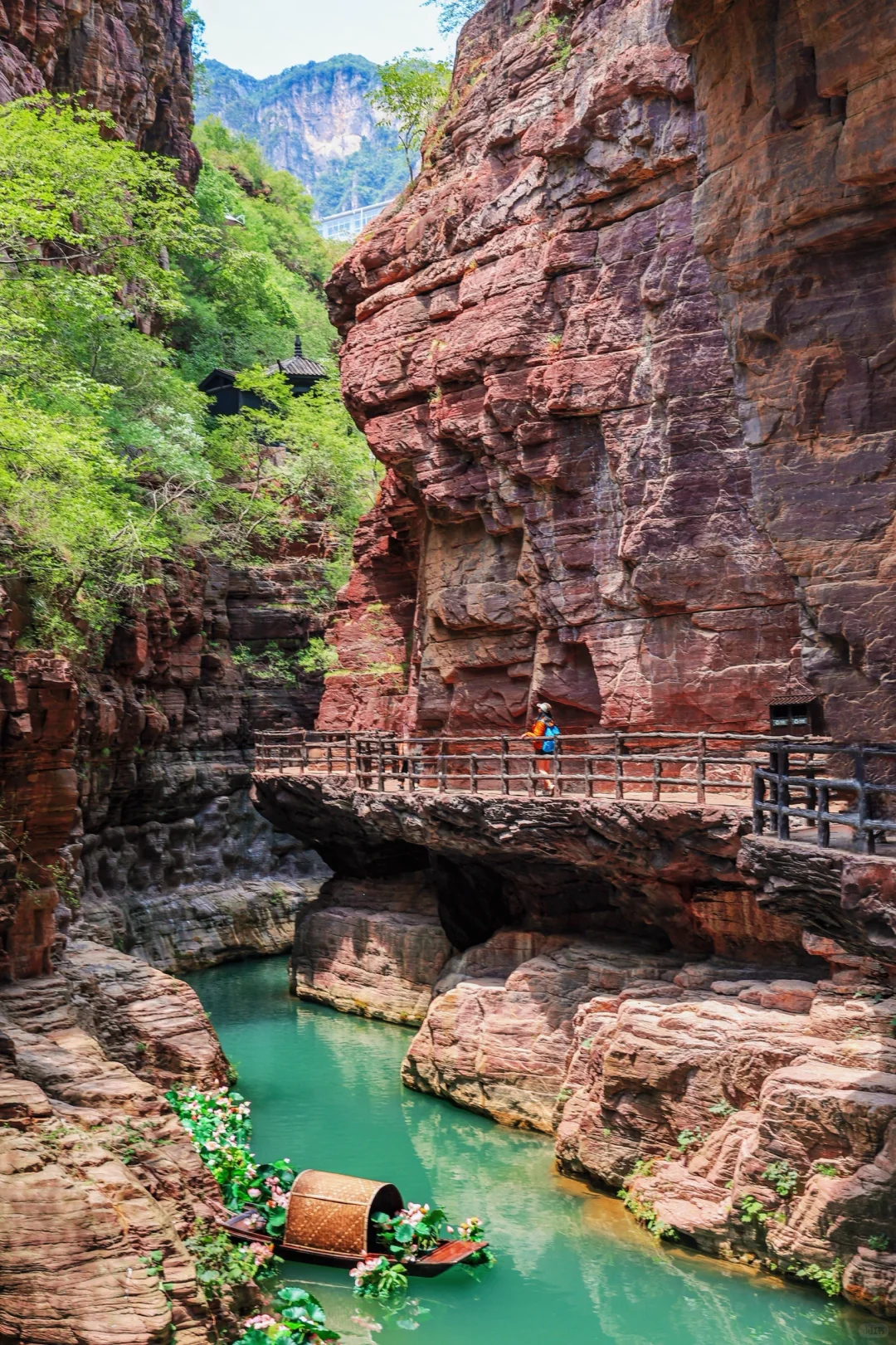 云台山已回😭坚决不删！能劝一个是一个……