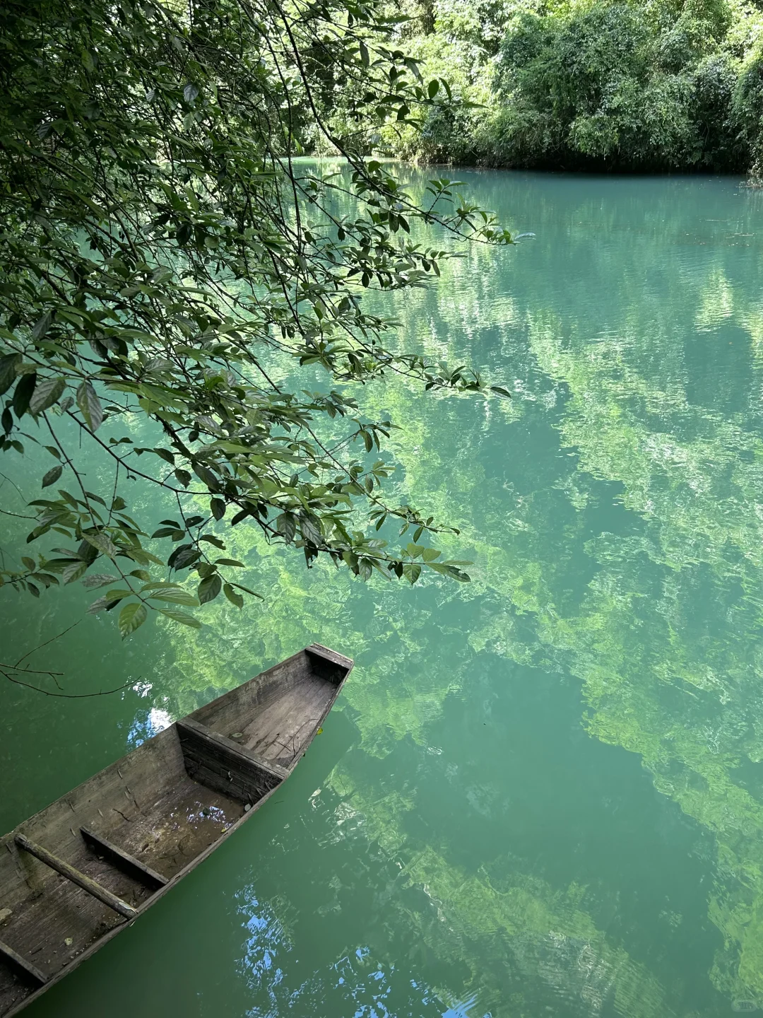 张家界大峡谷 | 美晕了