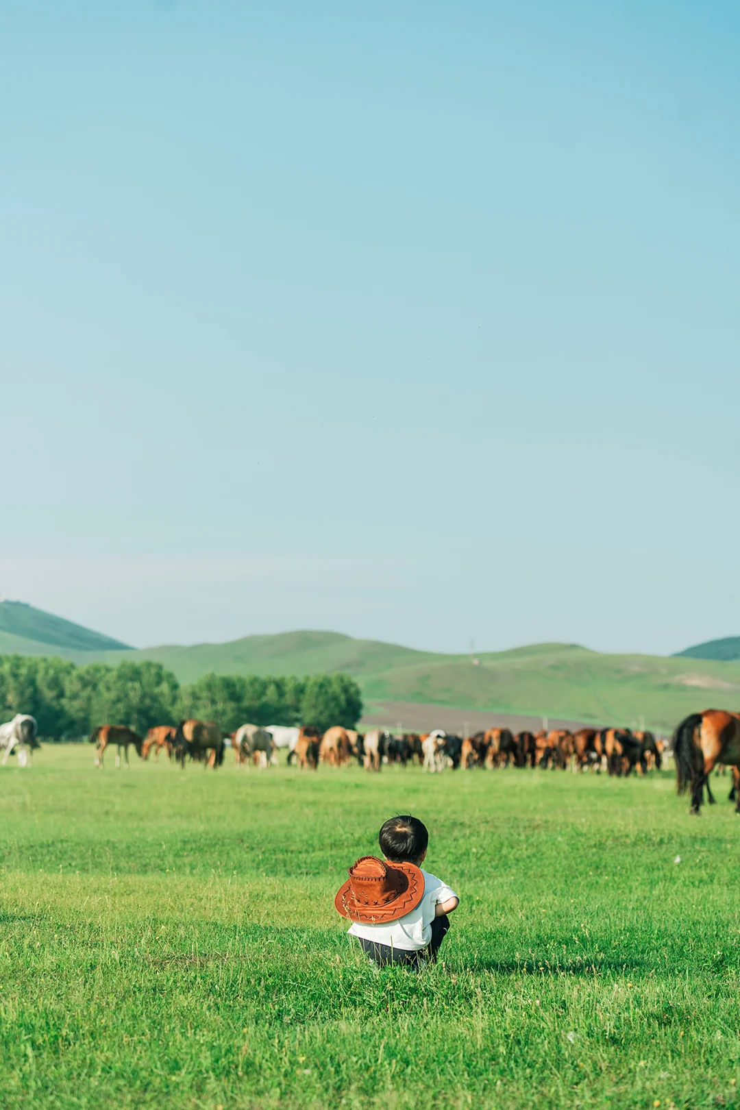 带娃呼伦贝尔暑假游，这些避坑指南得知道‼️