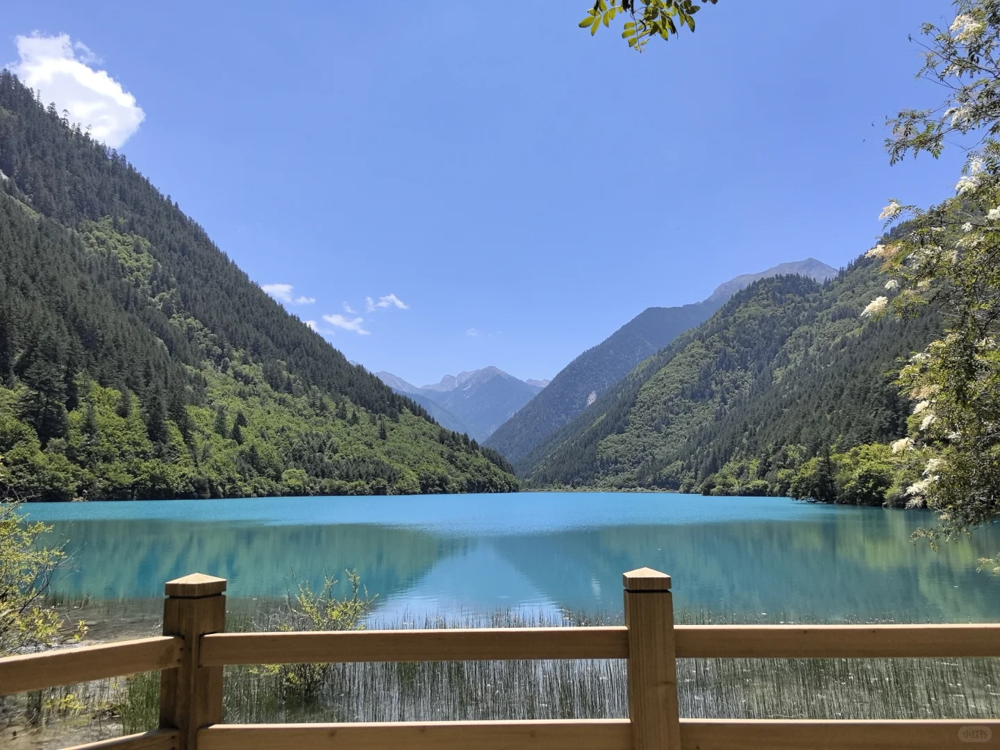 ⭐九寨沟黄龙两日游攻略