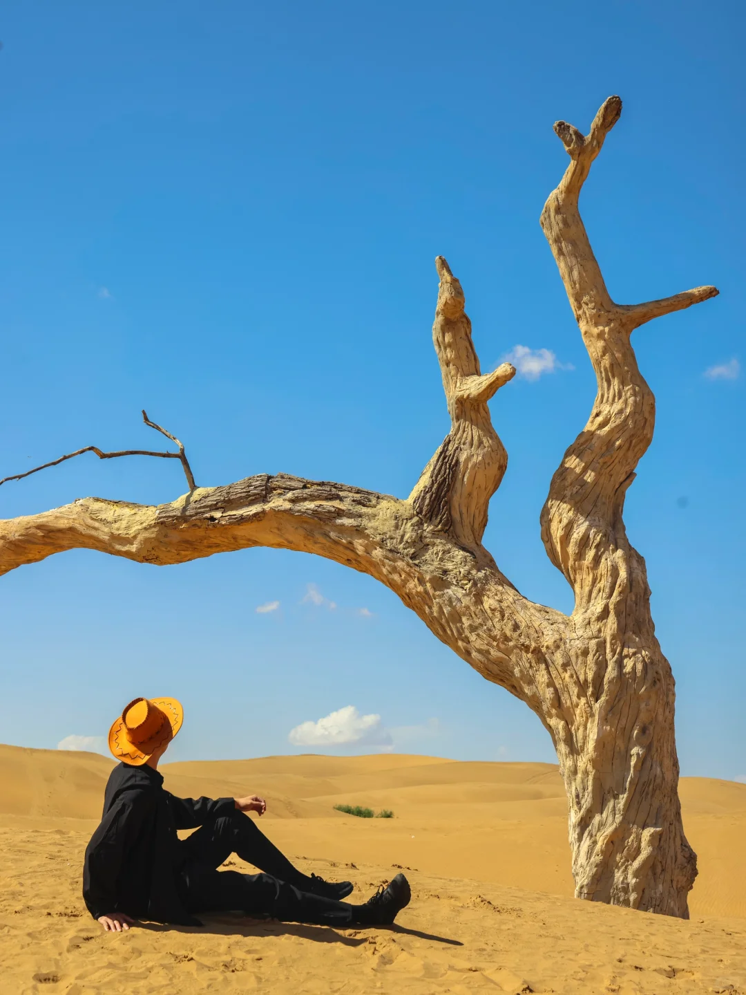 迄今为止，我最爱的小众冷门城市出现了‼️