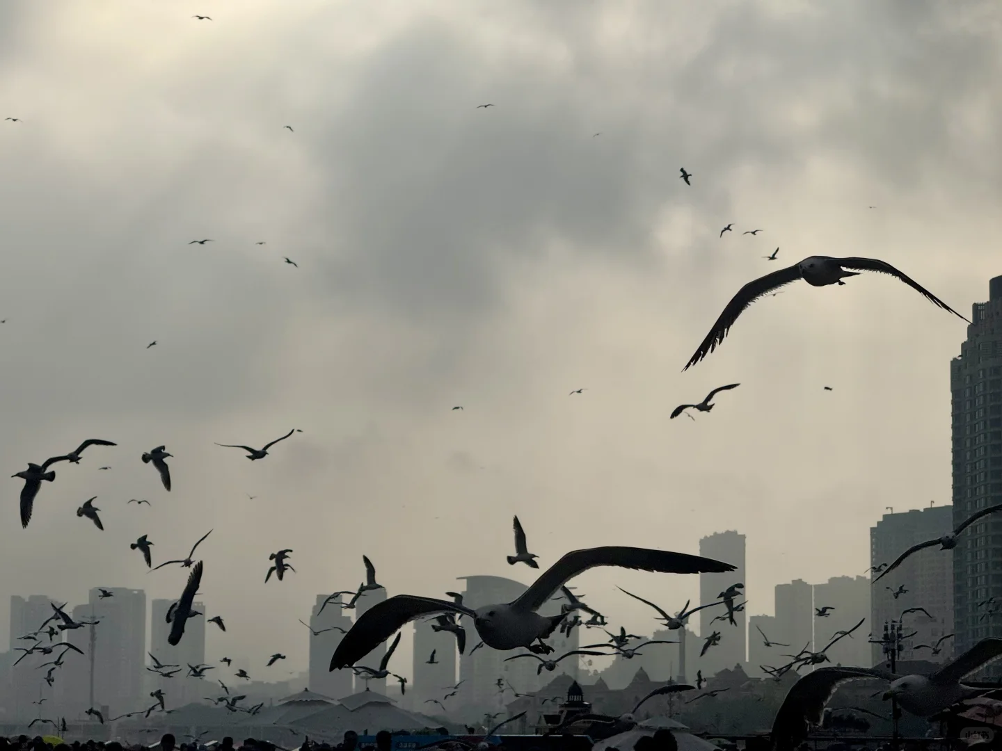 把小红书翻烂果然得到完全不踩雷的大连之行