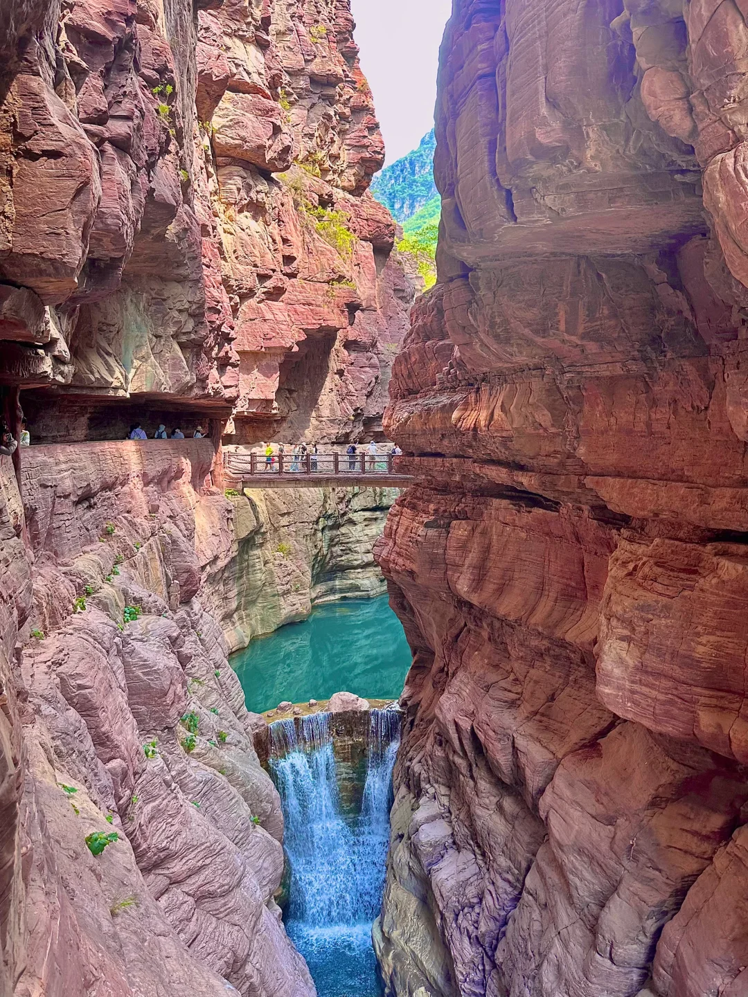 云台山已回😭坚决不删！能劝一个是一个……