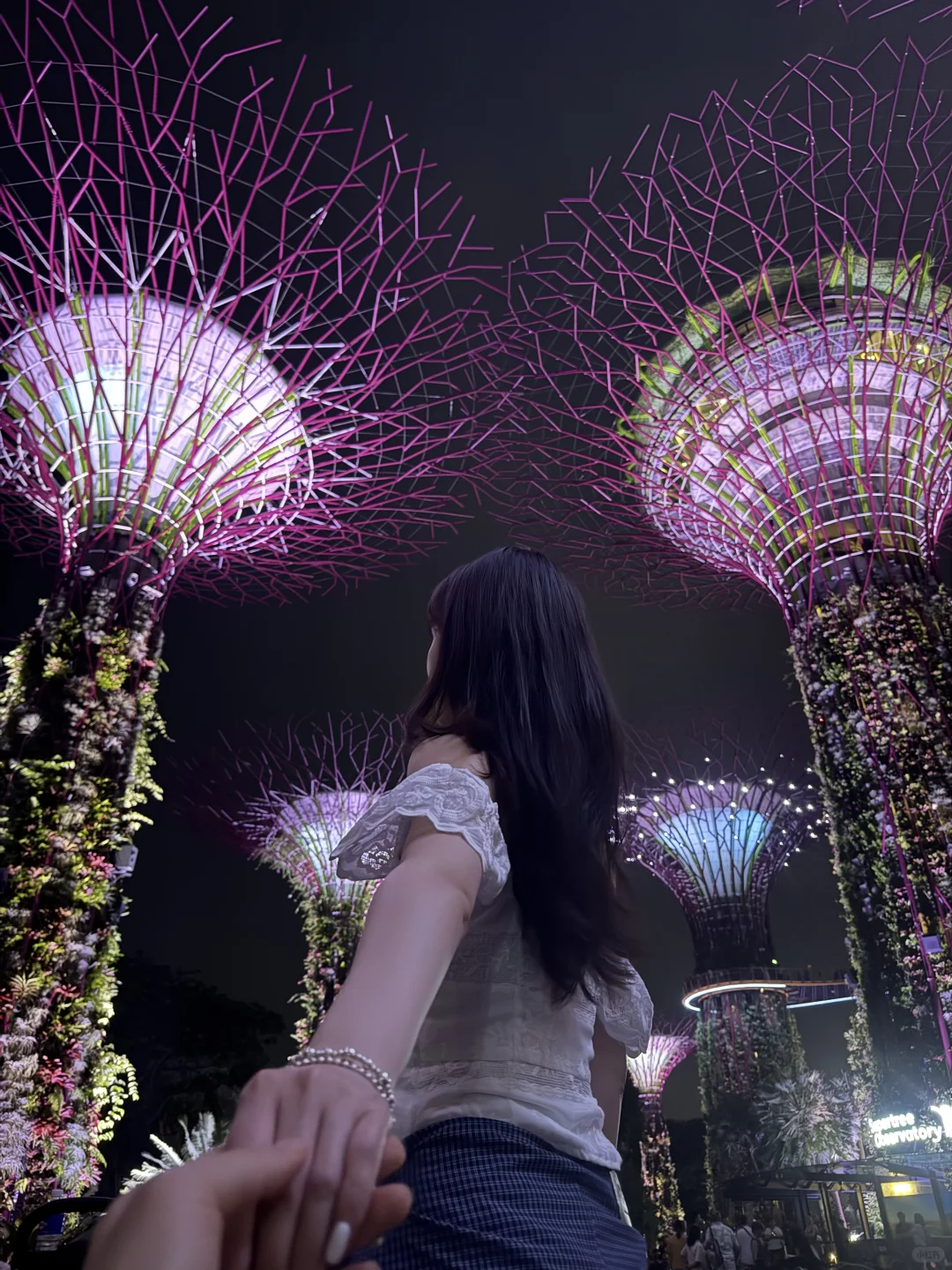 🇸🇬新加坡4天3夜旅行｜J人保姆级攻略（上）