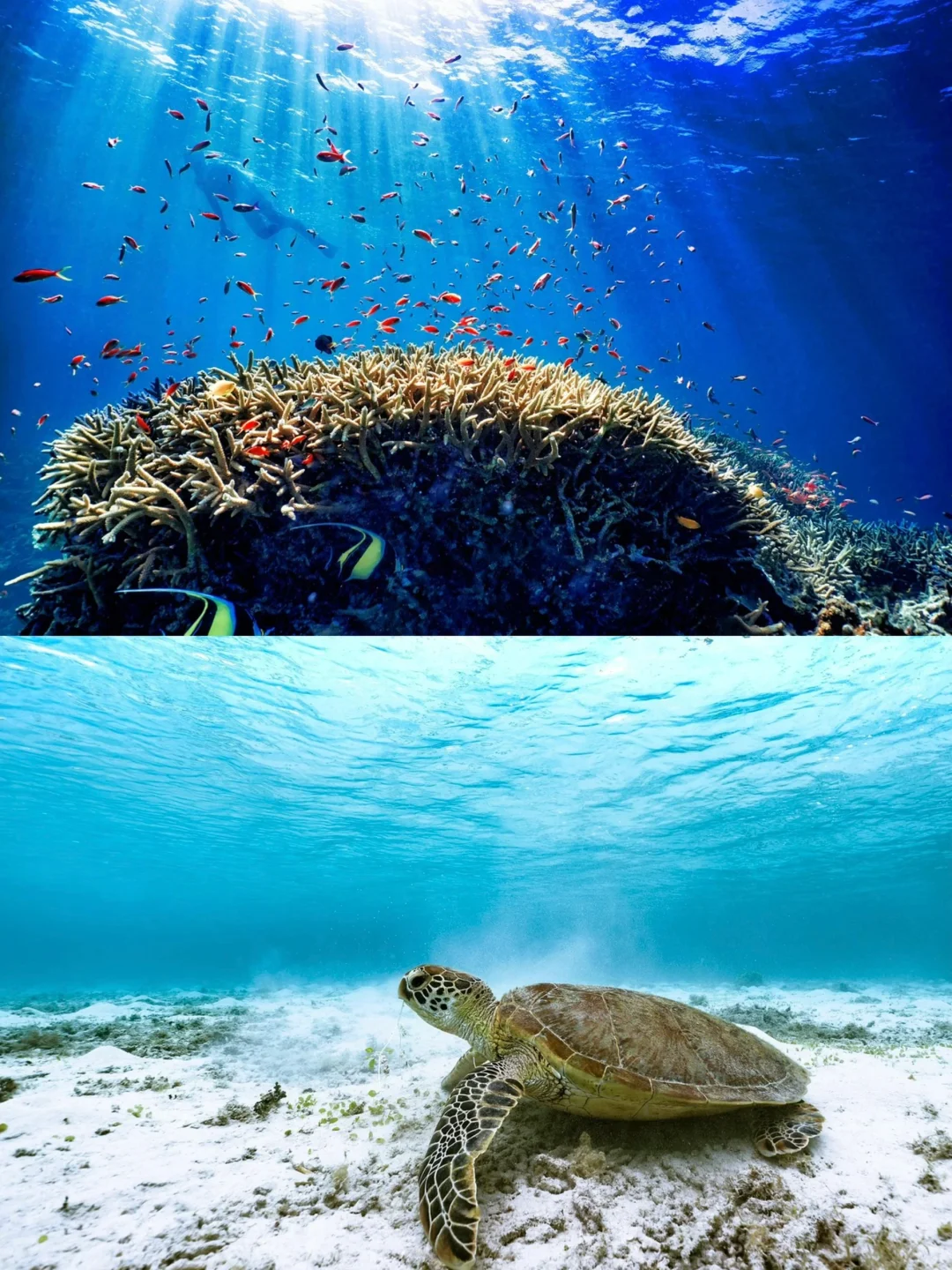 第一次去冲绳旅行，有这篇手绘攻略就够了🔥