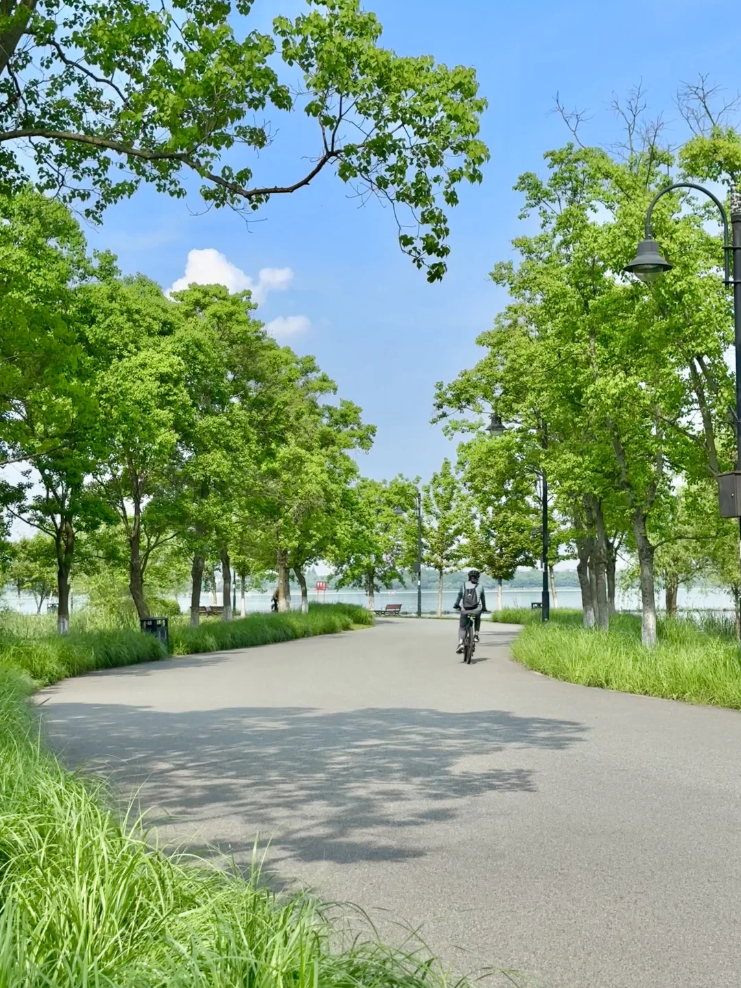 武汉东湖被严重低估的游玩路线！巨美人少！