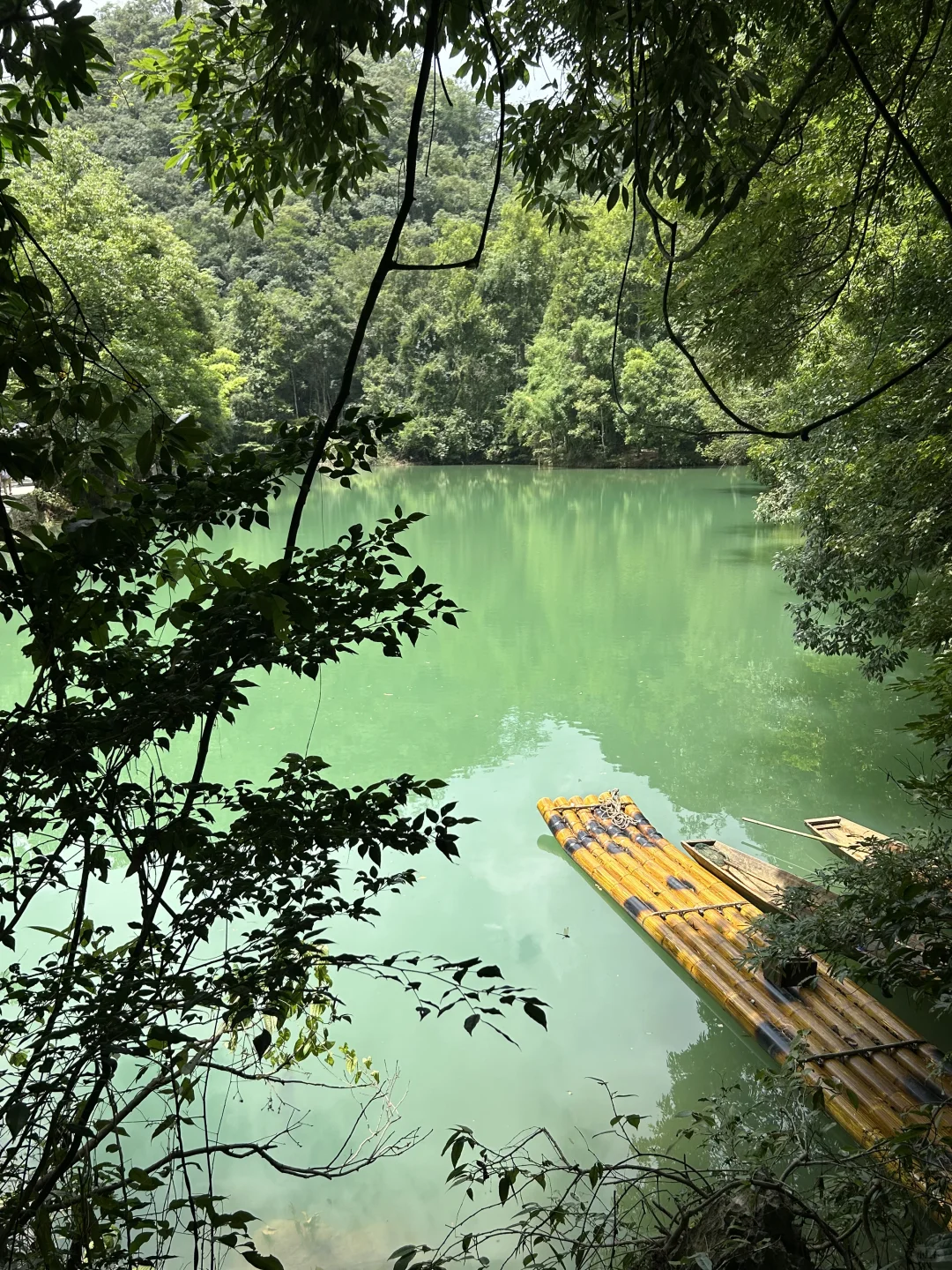 7.15 小七孔实况 💚