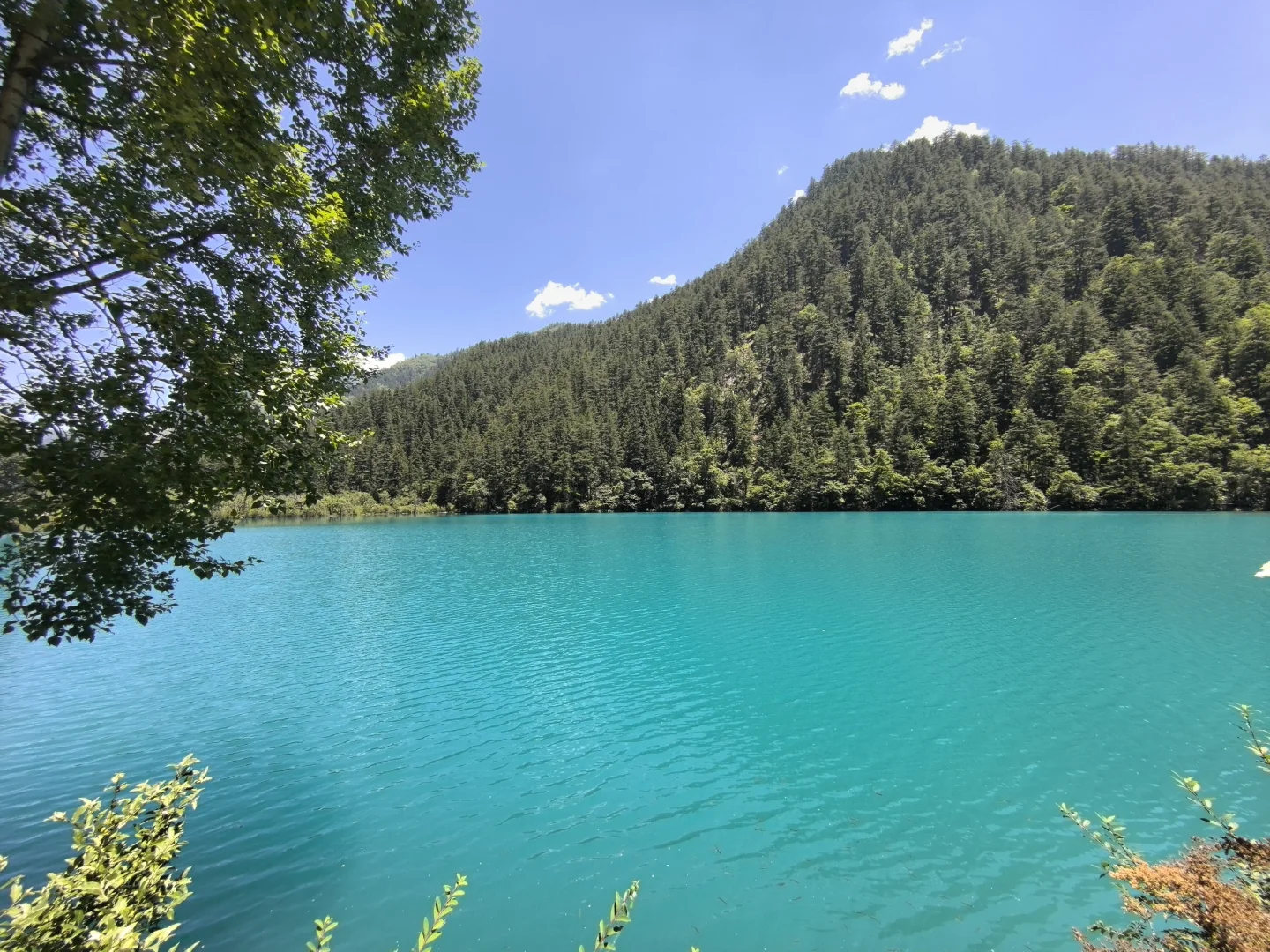 ⭐九寨沟黄龙两日游攻略
